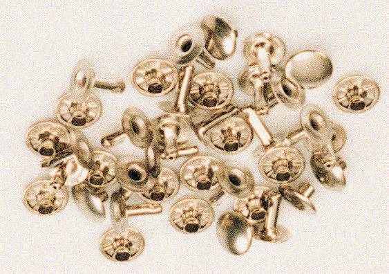 rivetti maschio femmina nichelati da 36