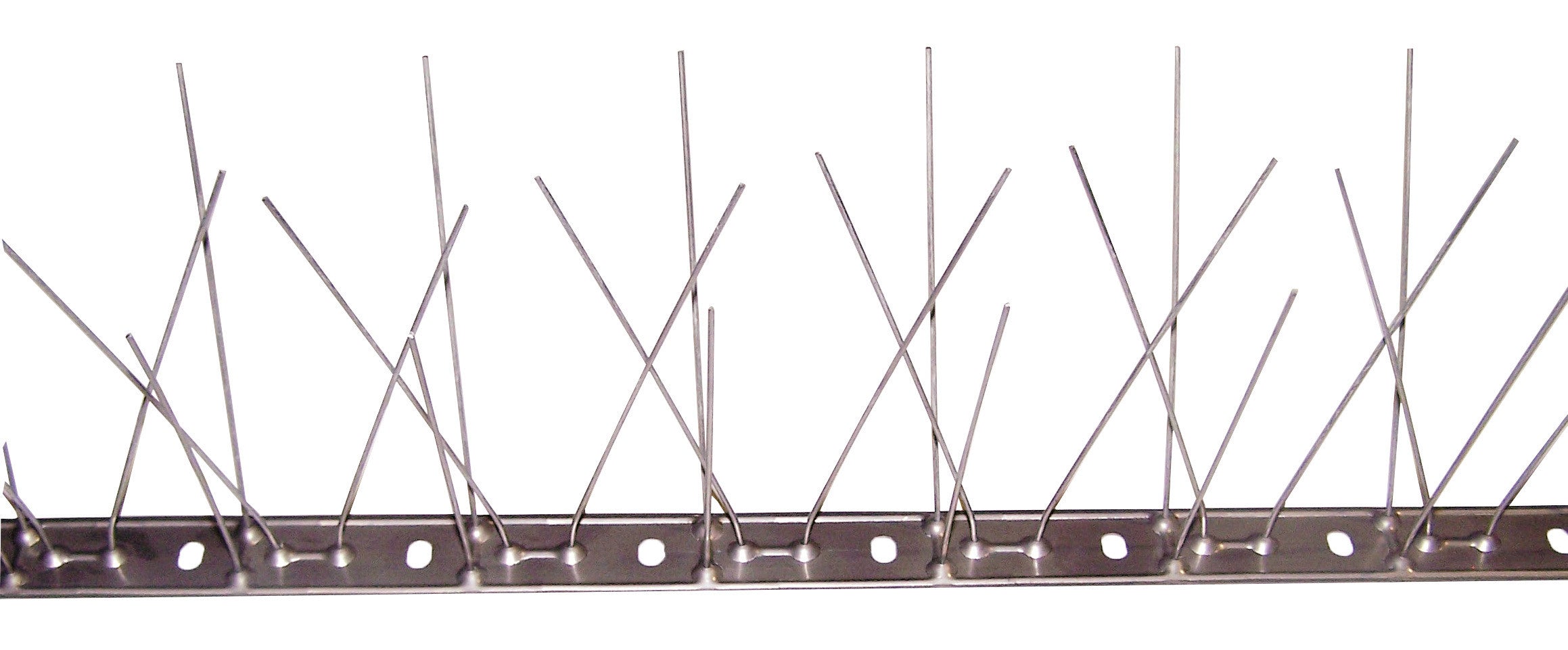 dissuasori volatili piccioni 80 spilli 1mt