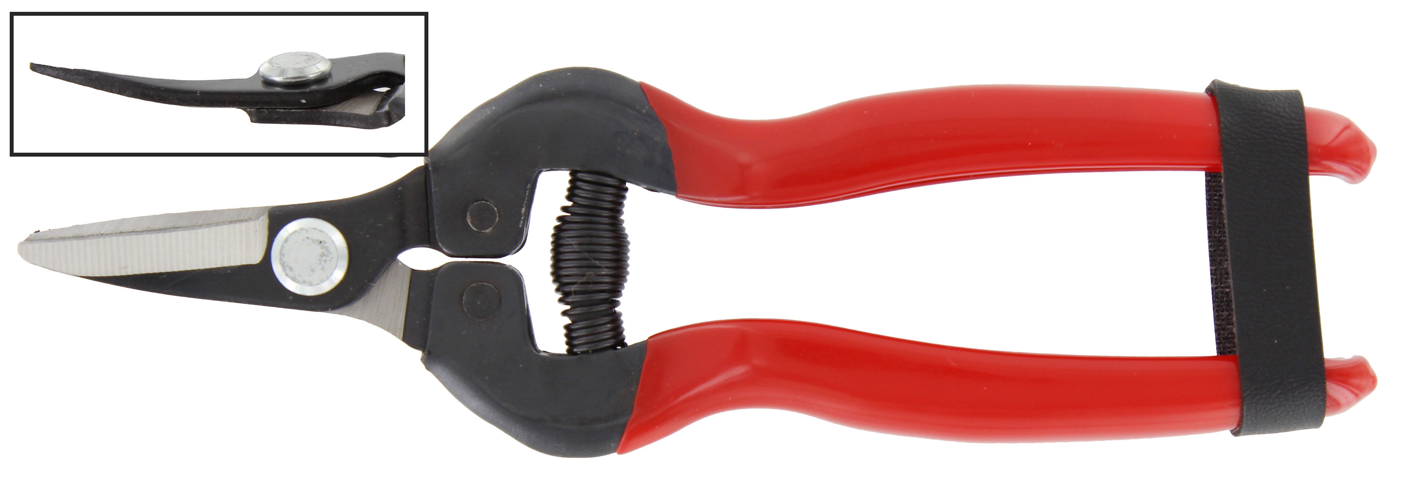 forbici uva lame curve
