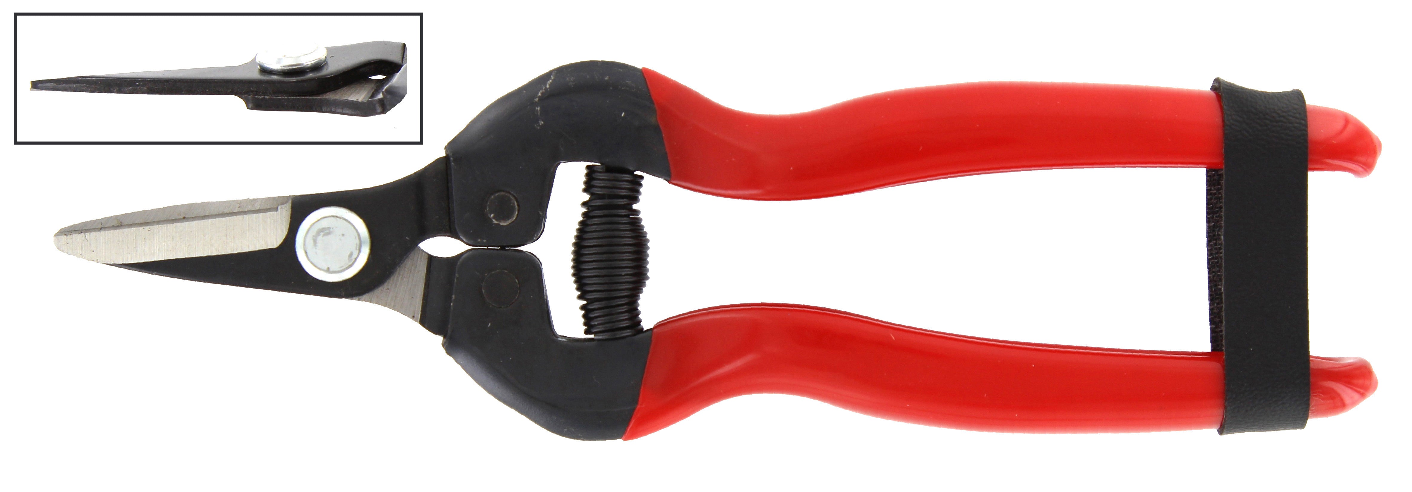 forbici uva lame dritte corte