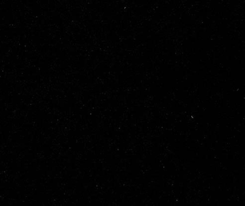 velluto adesivo nero 5mt