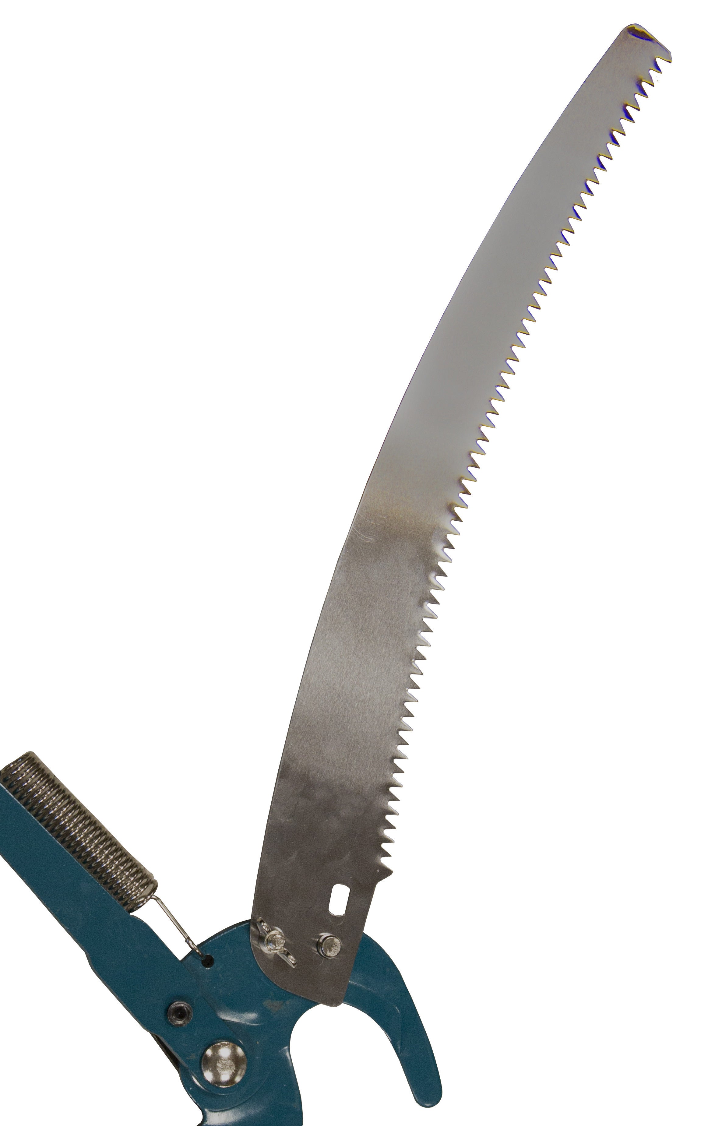 sega per pota ricambio per svettatoio a pertica