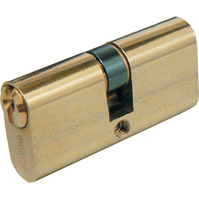iseo cilindro ovale mm. 60 (27-33)