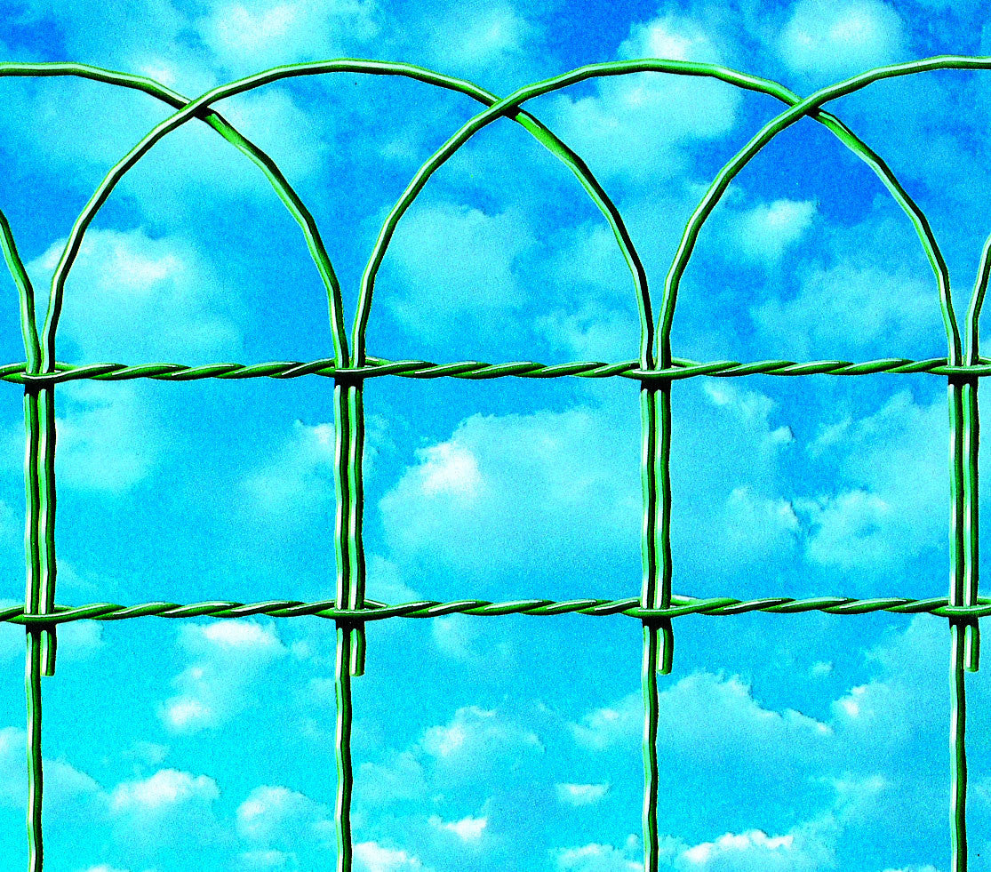 rete ornamentale arcoplax verde H40 25mt