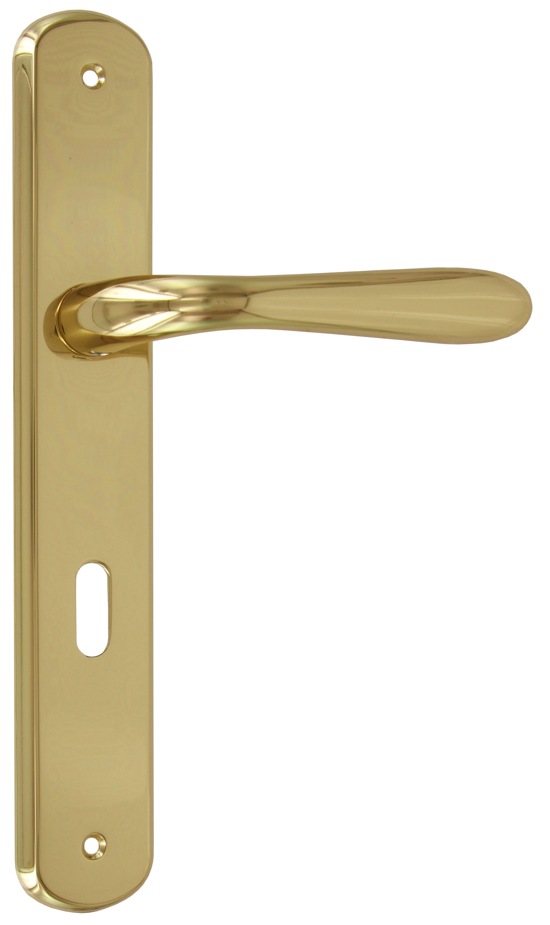 maniglia con placca per porte interne goccia 8/70 ottone lucido