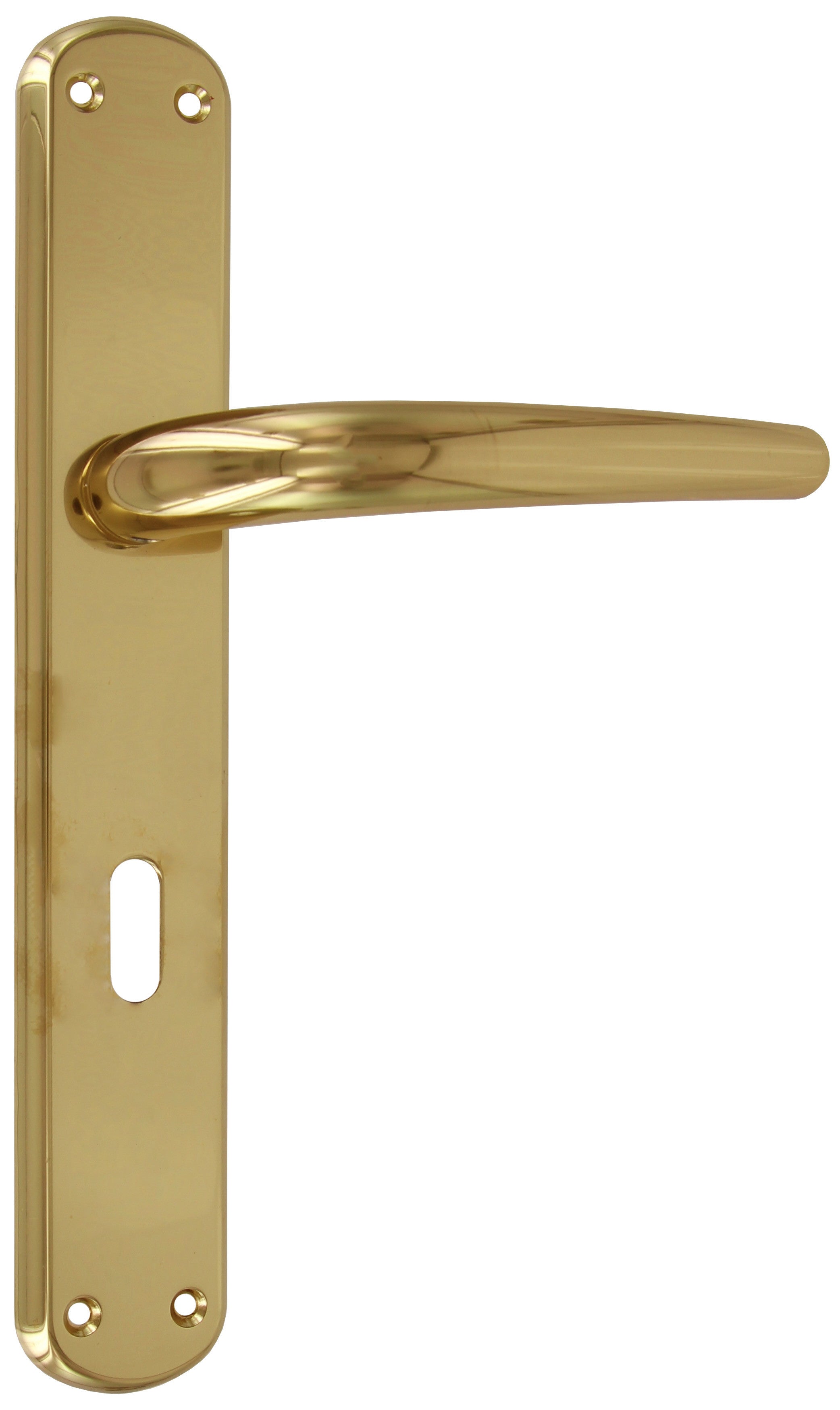 maniglia con placca per porte interne torino 8/70 ottone lucido