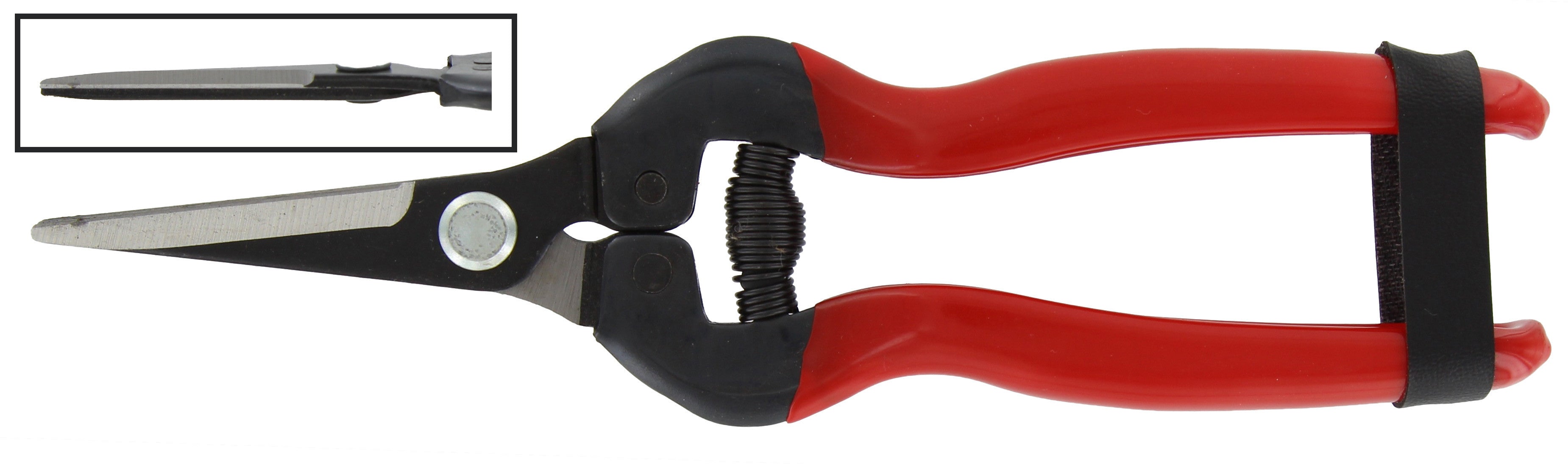 forbici uva lame dritte lunghe