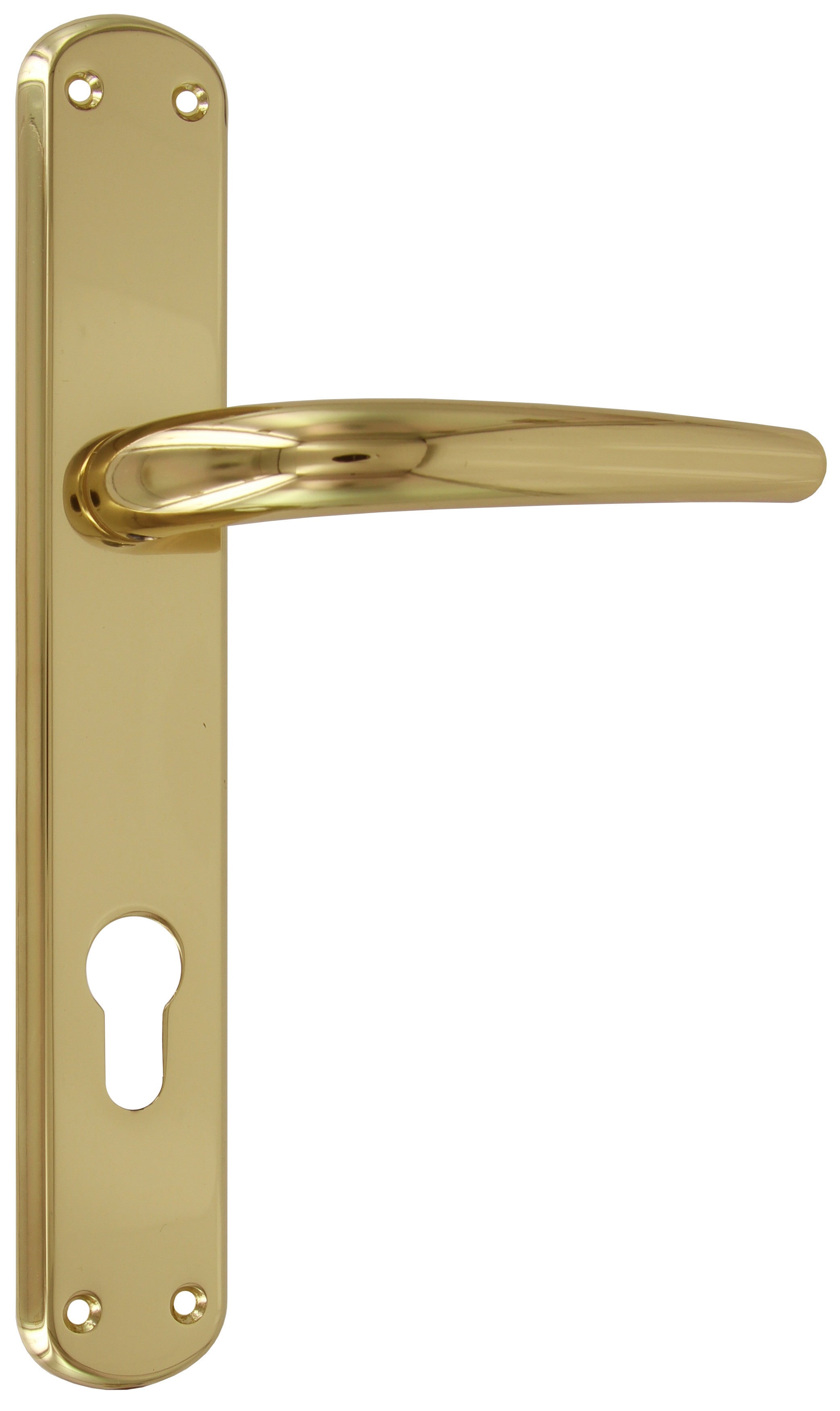 maniglia placca lunga foro yale torino ottone lucido