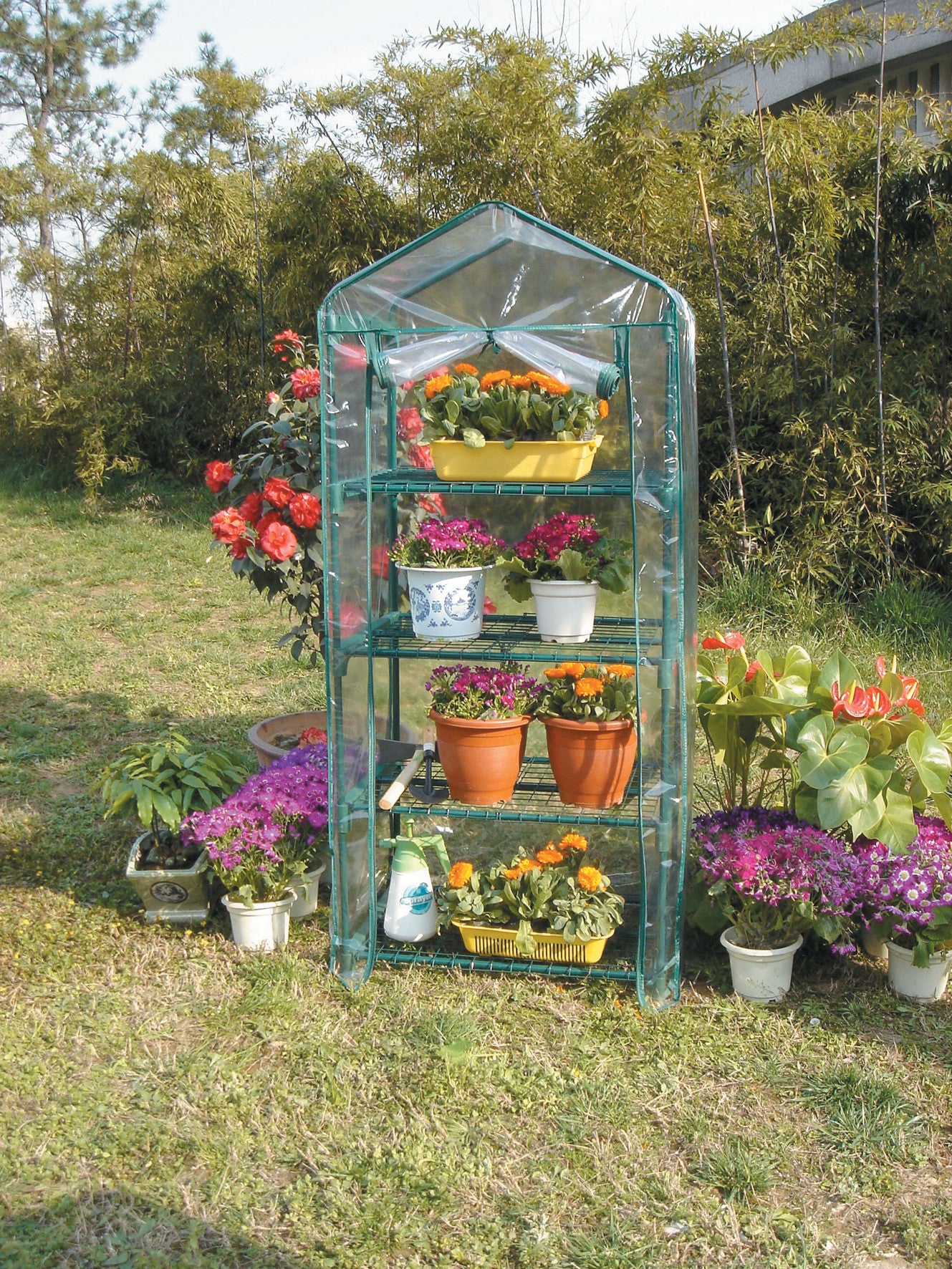 serra da giardino 4 ripiani cm69x49x158h