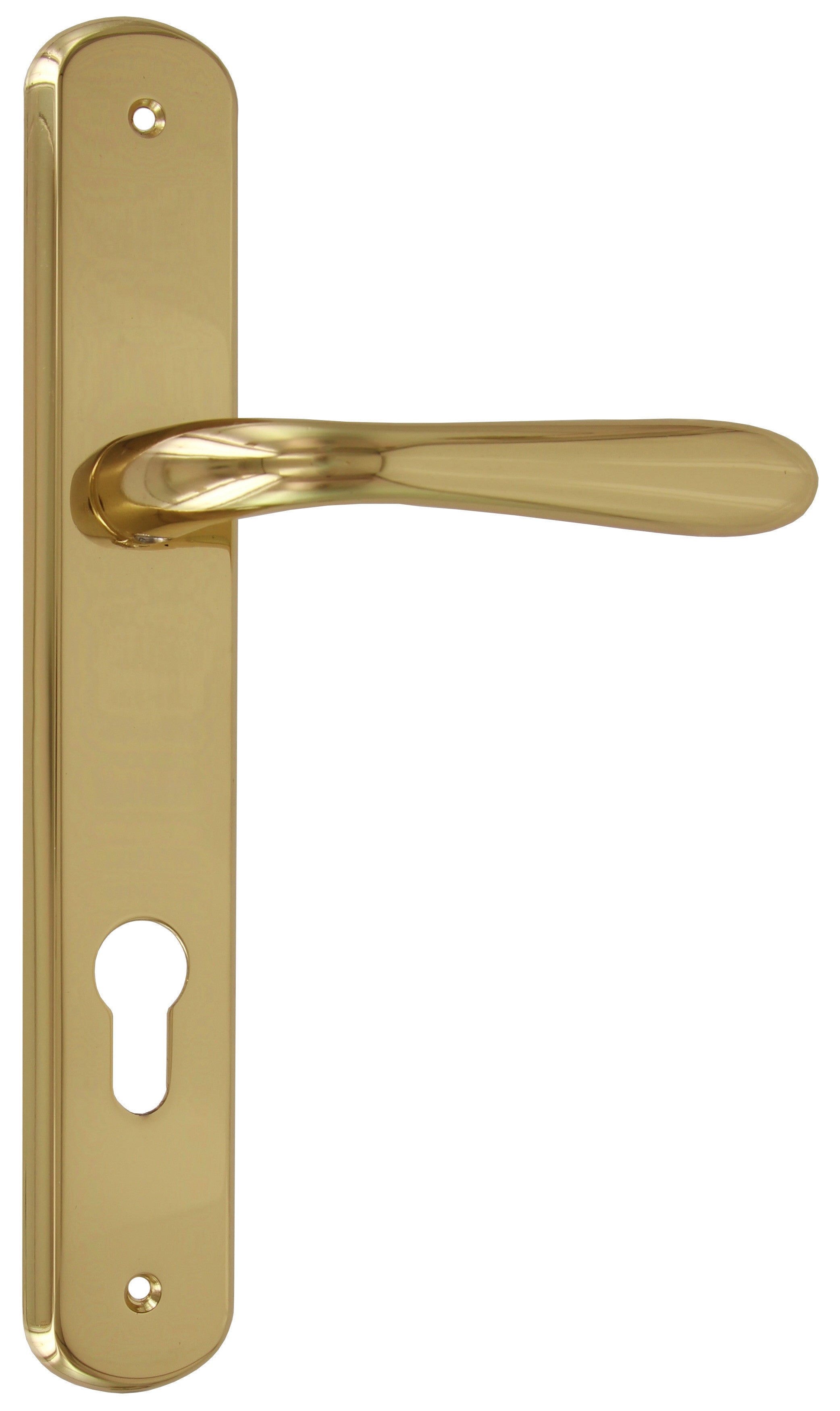 maniglia con placca goccia foro yale ottone lucido