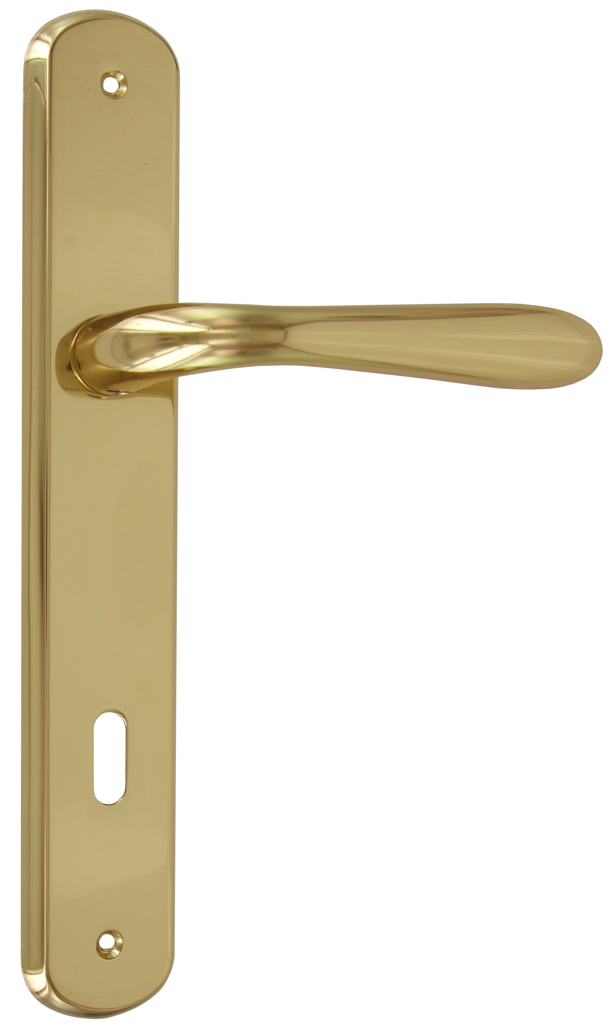 maniglia con placca per porte interne goccia 8/90 ottone lucido