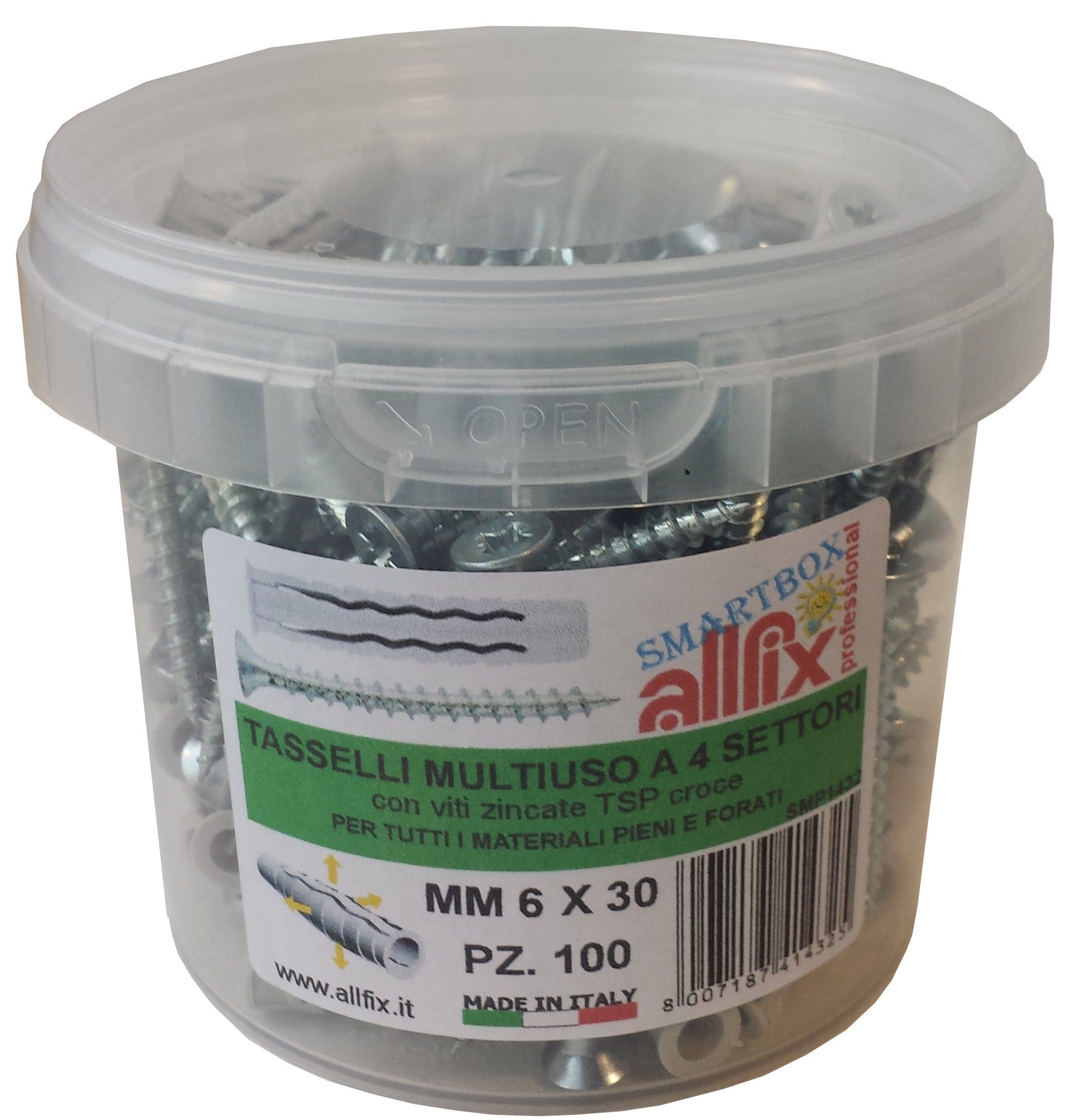 allfix 100 tasselli con viti mm.6